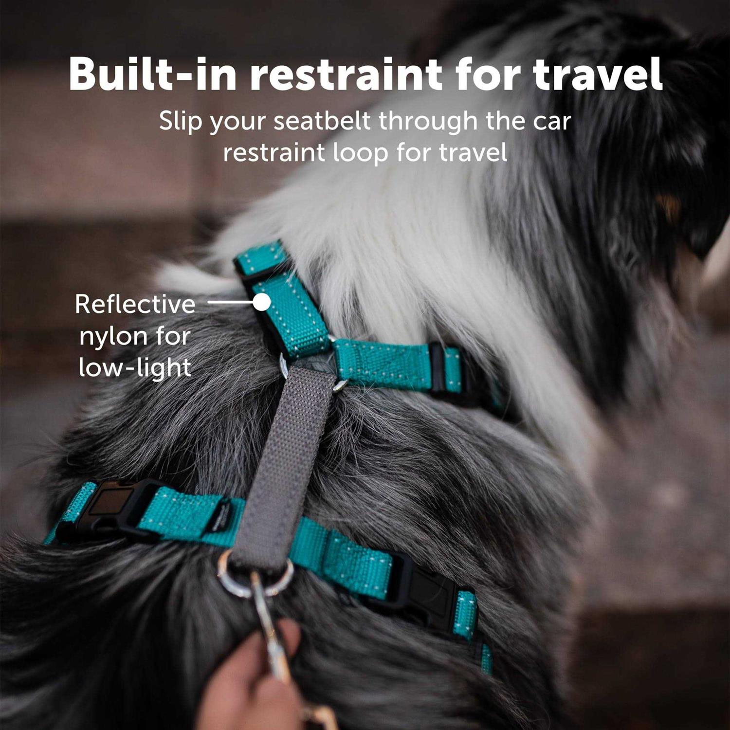 PetSafe 3 in 1 Harness - Image 5