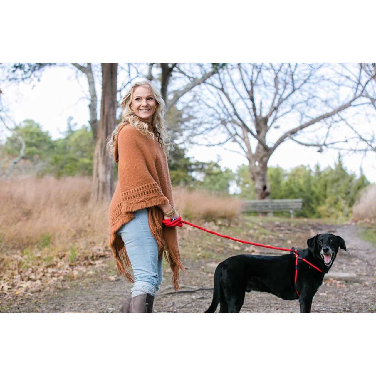 Harness Lead Dog Harness - Image 5