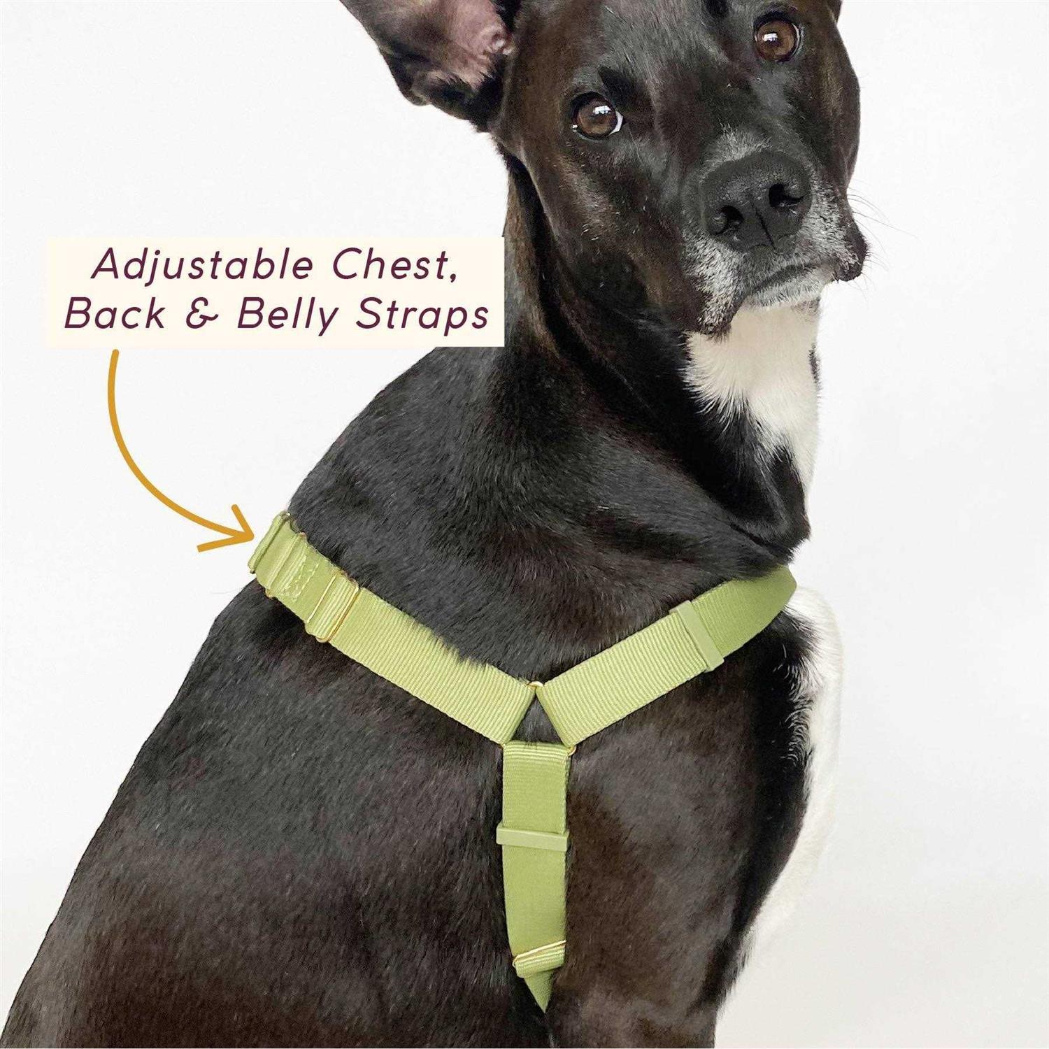 Awoo Roam Harness - Image 3