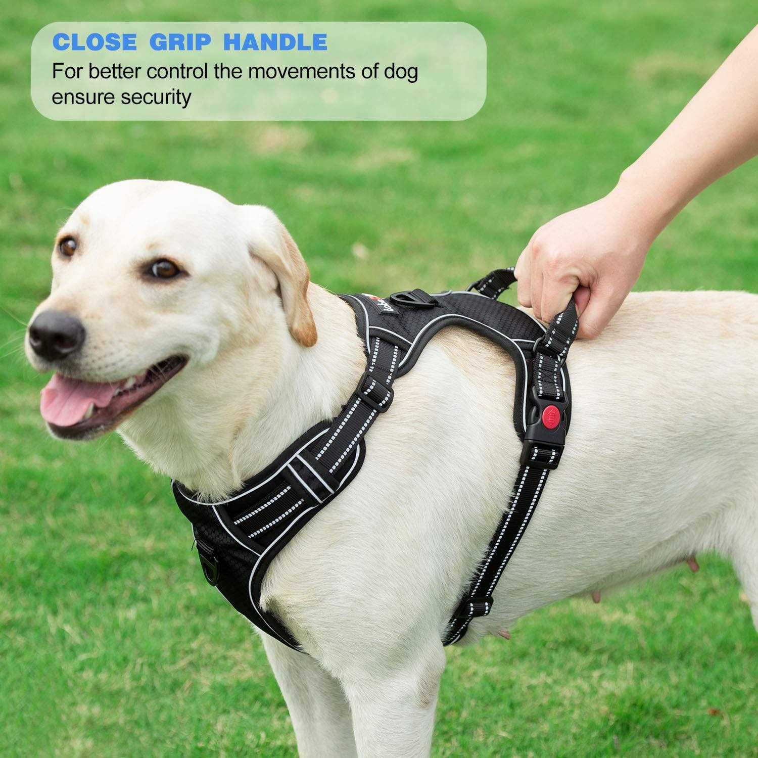 tobeDRI No Pull Dog Harness Adjustable Reflective Oxford Easy Control Medium Large Harness with A Free Heavy Duty 5ft Dog Leash - Image 4