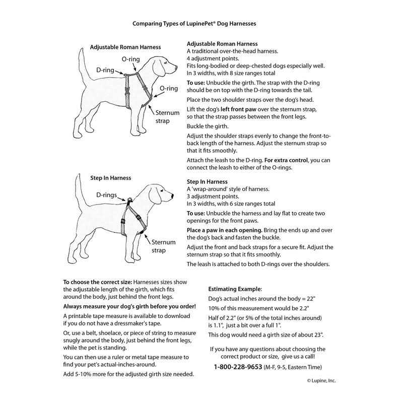 LupinePet Dog Roman Harness - Image 3