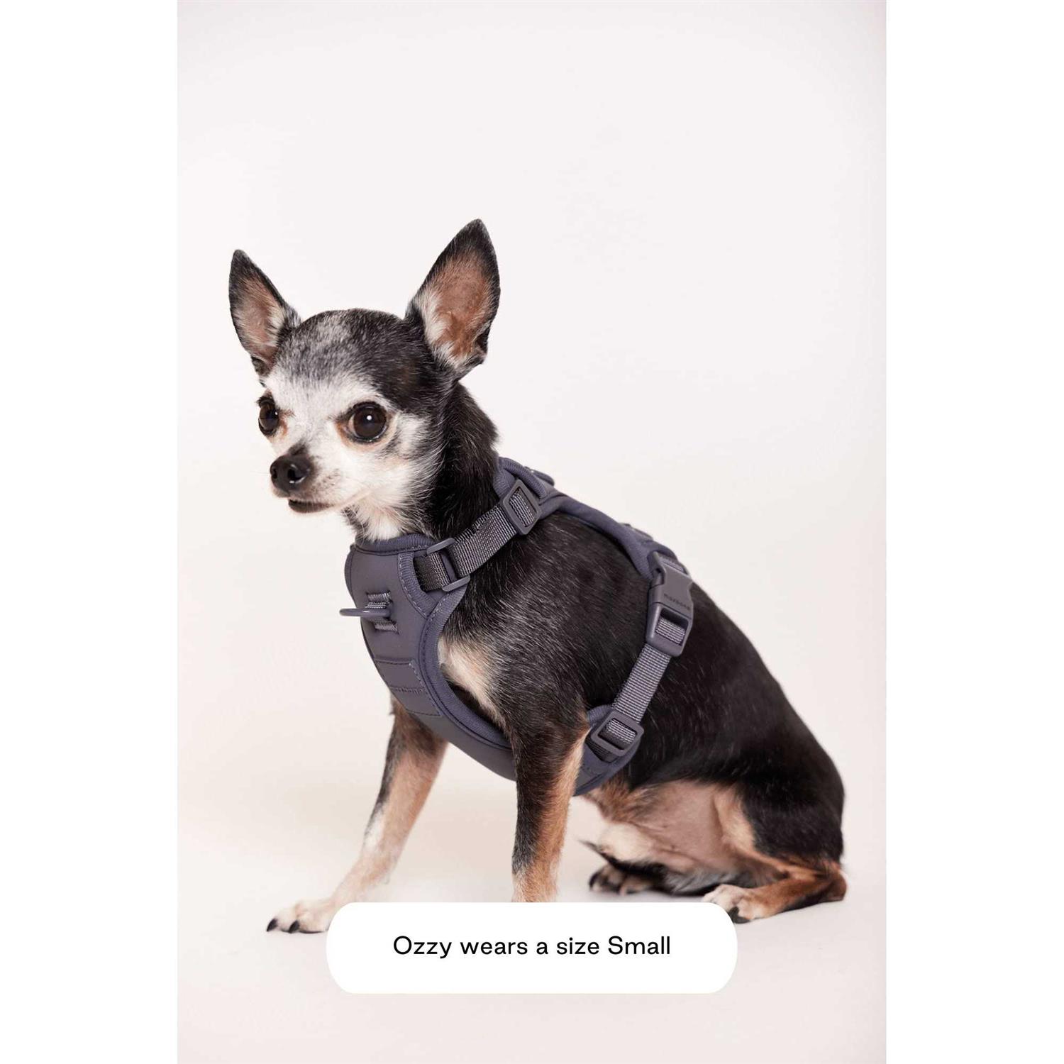 maxbone Double Panel Harness - Image 5