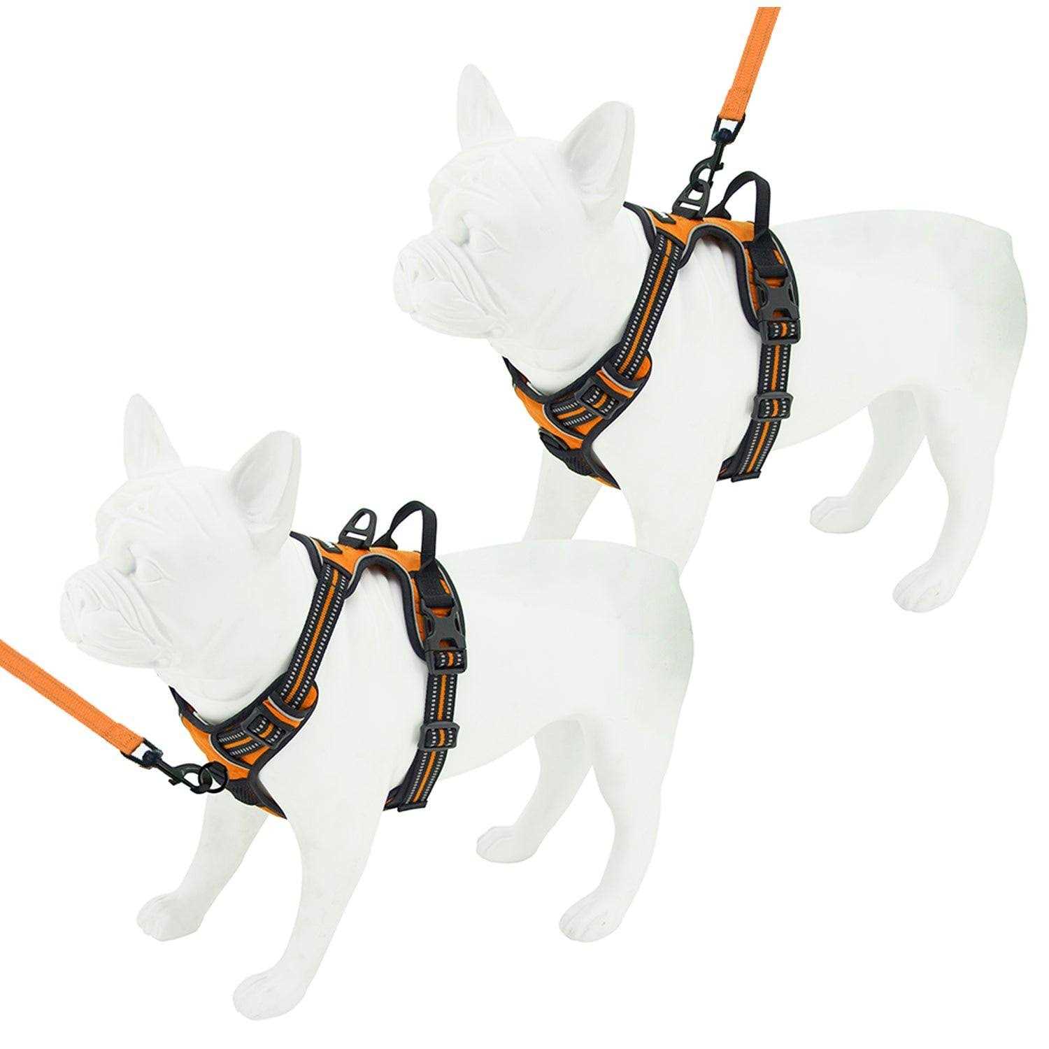 Voyager Dual Attachment No-Pull Adjustable Dog Harness - Image 4