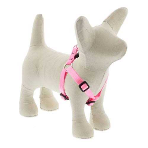 Lupine Dog Step in Harness - Image 4