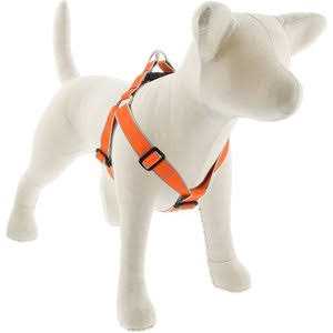 Lupine Dog Step in Harness - Image 5