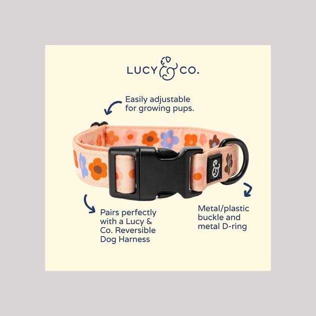 Lucy & Co. Have A Nice Day Dog Collar - Durable Lightweight Designer Collar for Pets - Adjustable Metal Safety Buckel - Lime Green Blue Checker - - Image 3