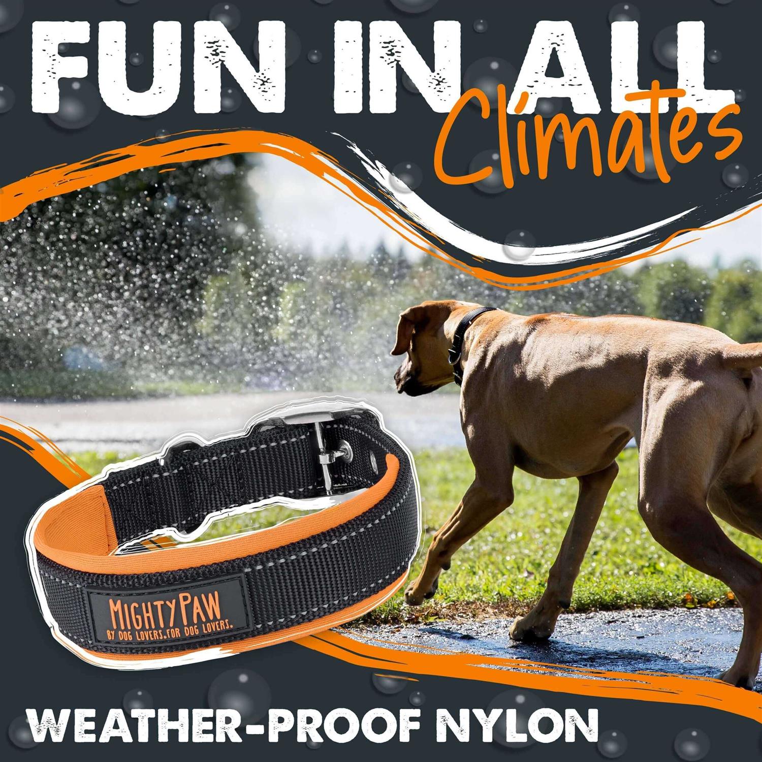 Mighty Paw Sport 2.0 Dog Collar - Image 4
