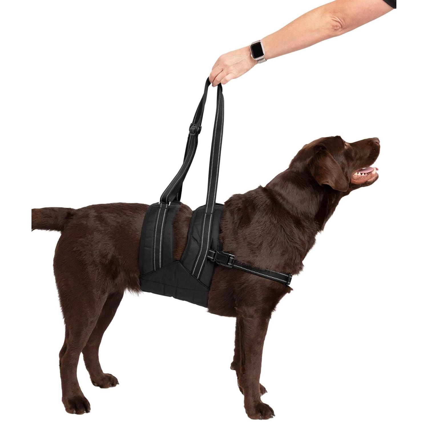 Labra Veterinarian Approved Dog Canine K9 Sling Assist with Chest Strap Adjustable Reflective Straps Support Harness Helps with Loss of Stability - Image 3