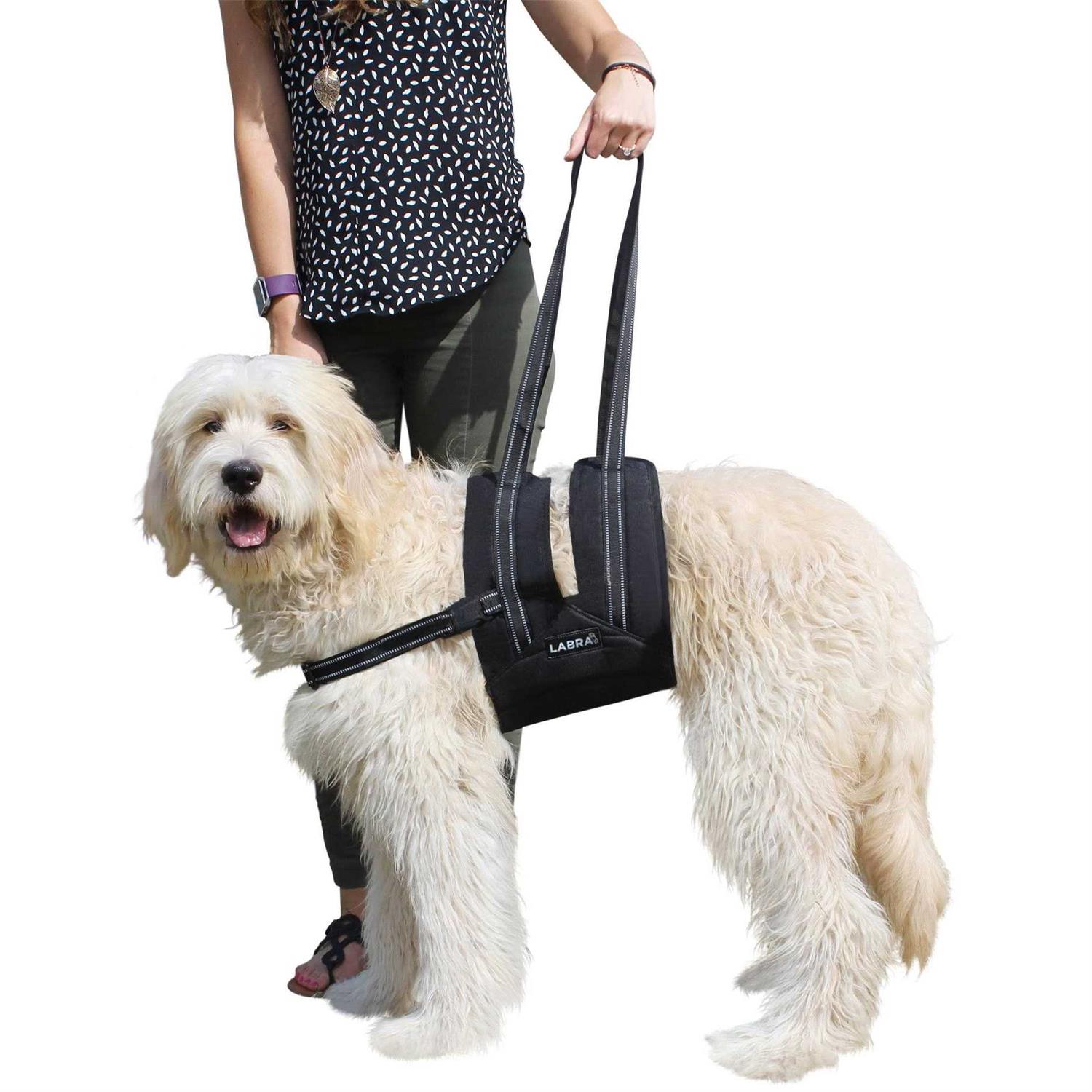 Labra Veterinarian Approved Dog Canine K9 Sling Assist with Chest Strap Adjustable Reflective Straps Support Harness Helps with Loss of Stability - Image 5