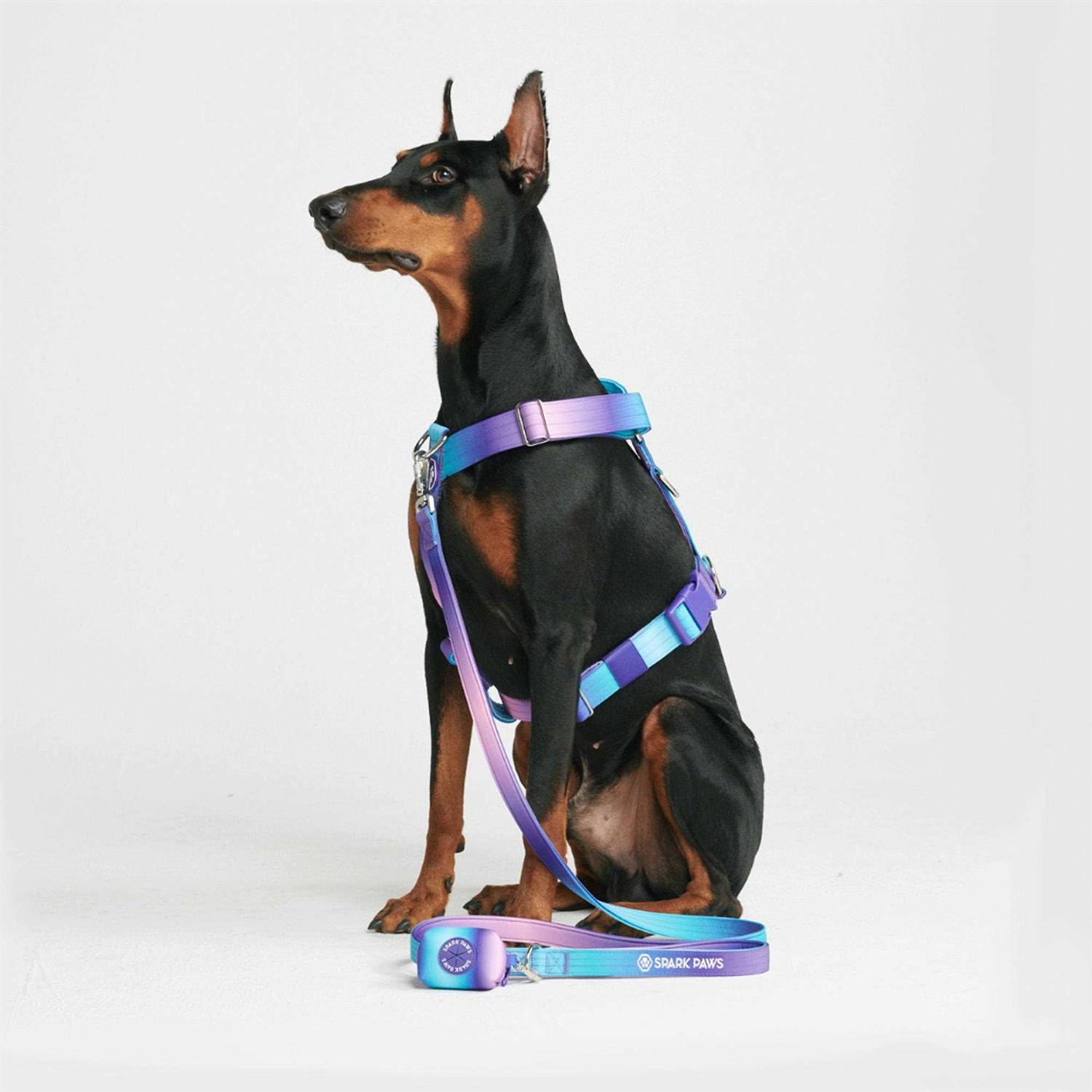 Spark Paws No-Pull Dog Harness Designed for Safety and Control - Image 4