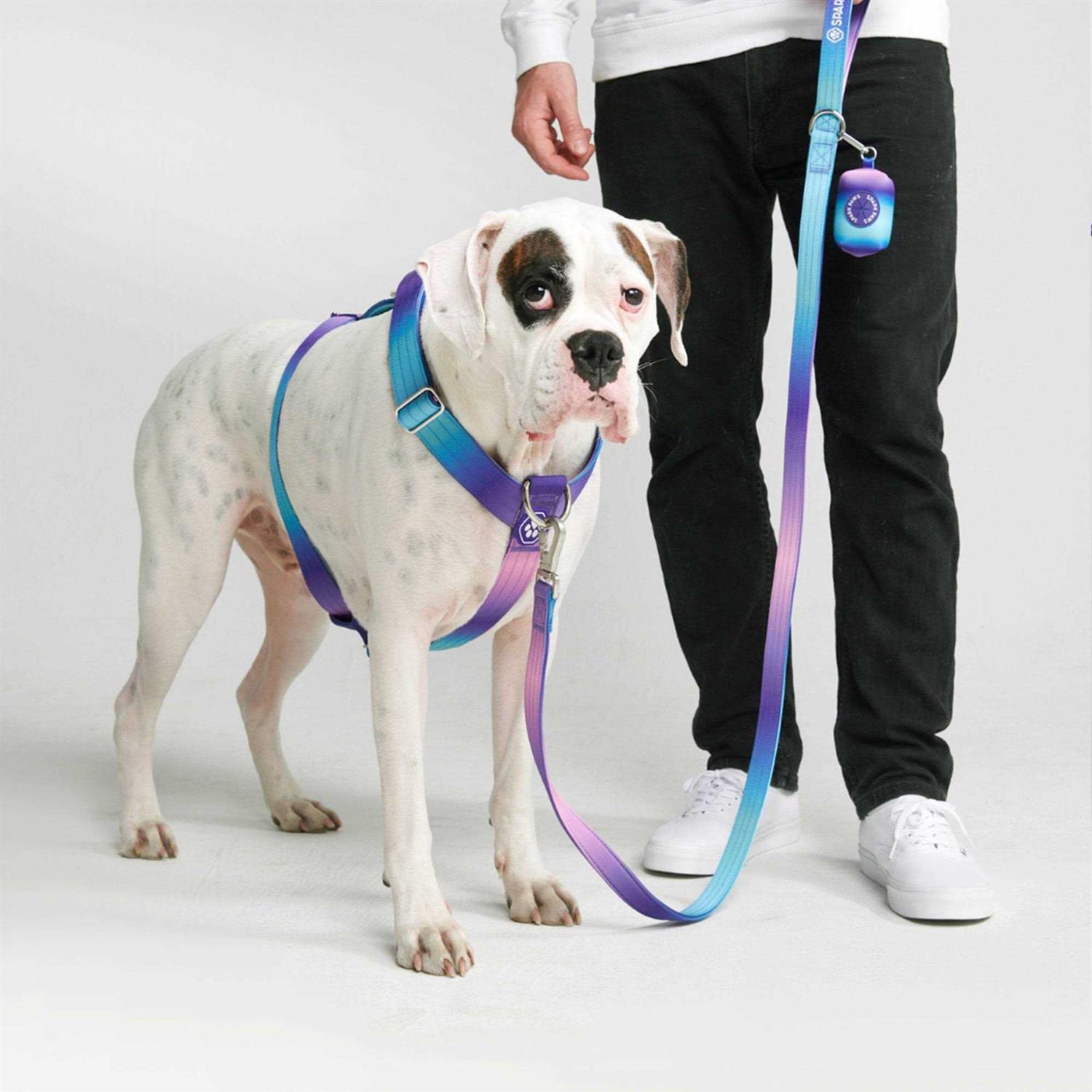 Spark Paws No-Pull Dog Harness Designed for Safety and Control - Image 5