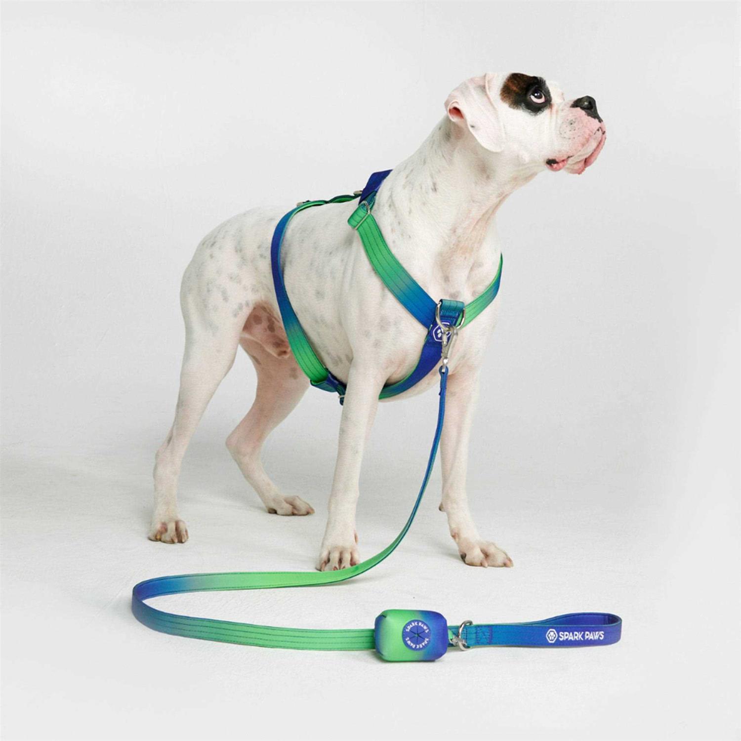 Spark Paws No-Pull Dog Harness Designed for Safety and Control - Image 5