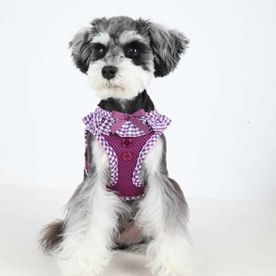 Puppia Harness Vivien - Image 5