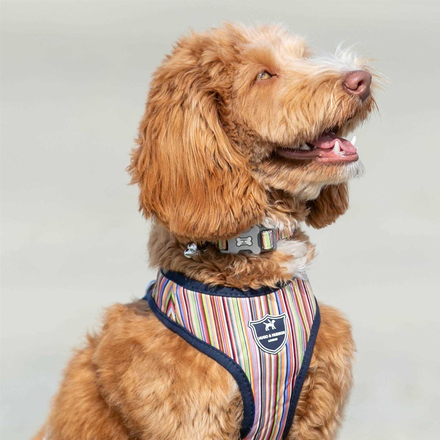HUGO & HUDSON Fabric Nylon Dog Collar - Image 5