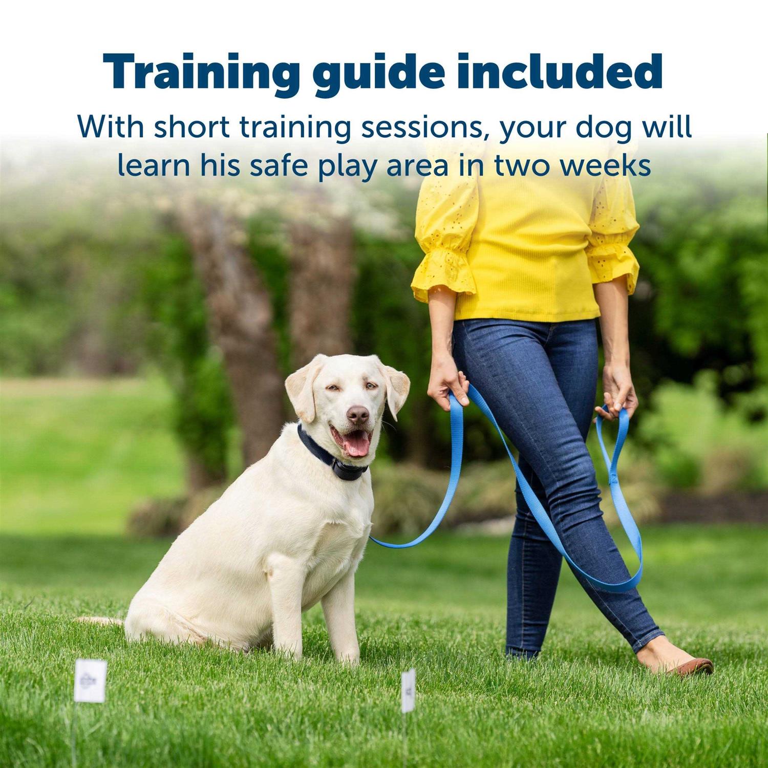 PetSafe Free to Roam Wireless Fence Receiver Collar - Image 3