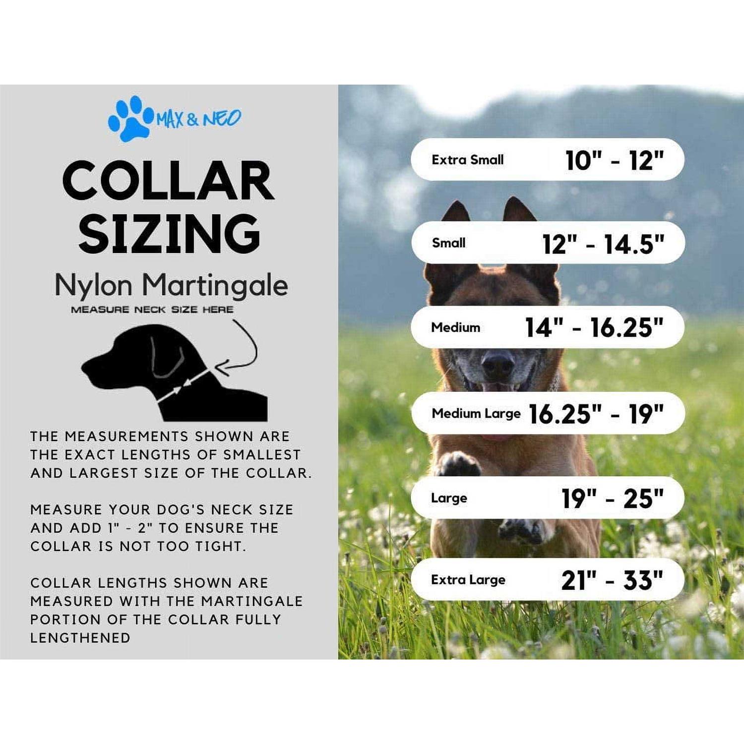 Max and Neo Nylon Martingale Collar We Donate a Collar to a Dog Rescue for Every Collar Sold - Image 5