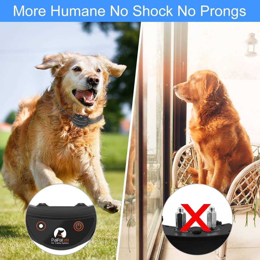 Paipaitek No Shock Dog Training Collar with Remote Vibration Collar Dogs Dogs - Image 3