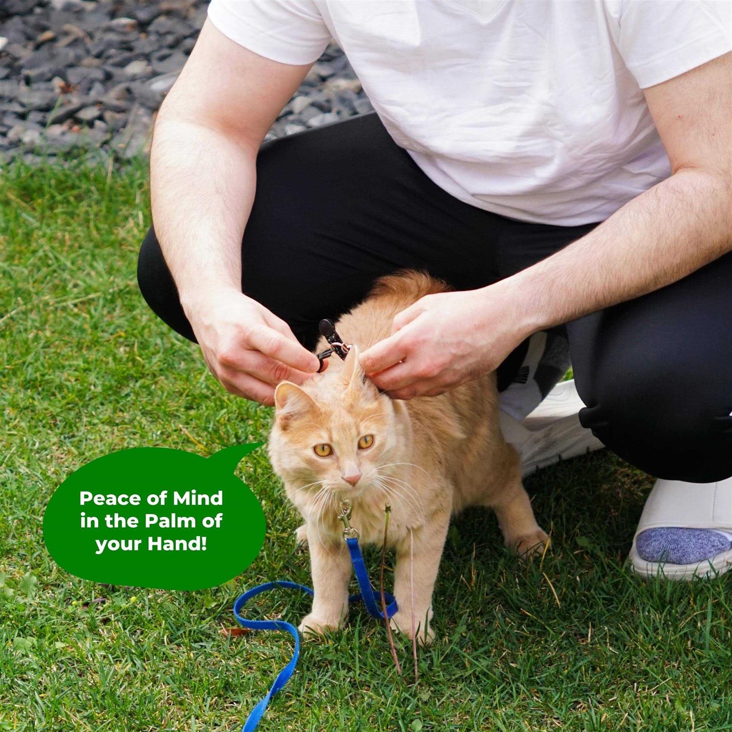 Kitty Kompass Tile Sticker Holder Cat Tracking Collar Breakaway, Reflective Kitten Collar with Tile Sticker Holder and Bell for Girl Boy Cats - Image 3