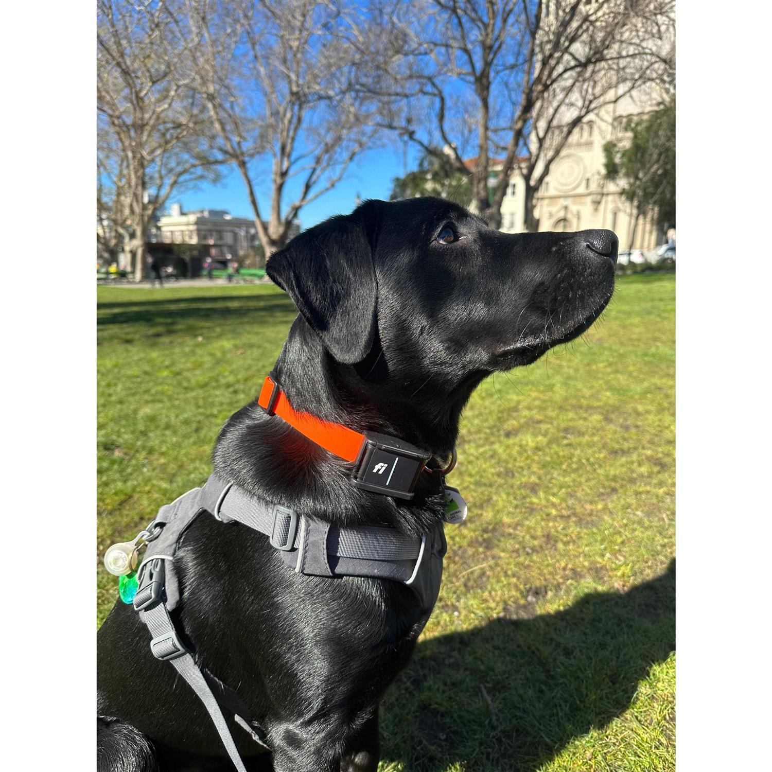 Fi Fastener 3 for Fi GPS Tracker Series 3 - Image 4