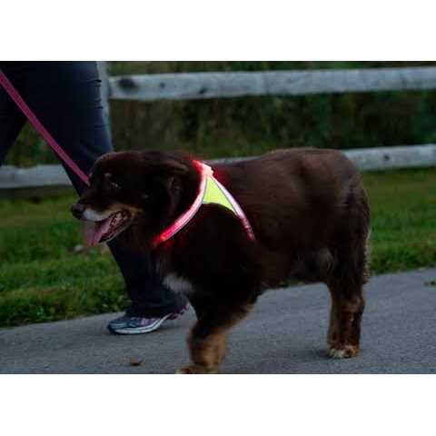 Noxgear LightHound LED Illuminated & Reflective Dog Harness - Image 3