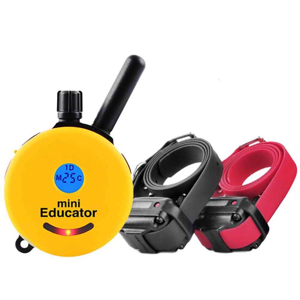Mini Educator E-Collar Dog Collar Remote - Image 4