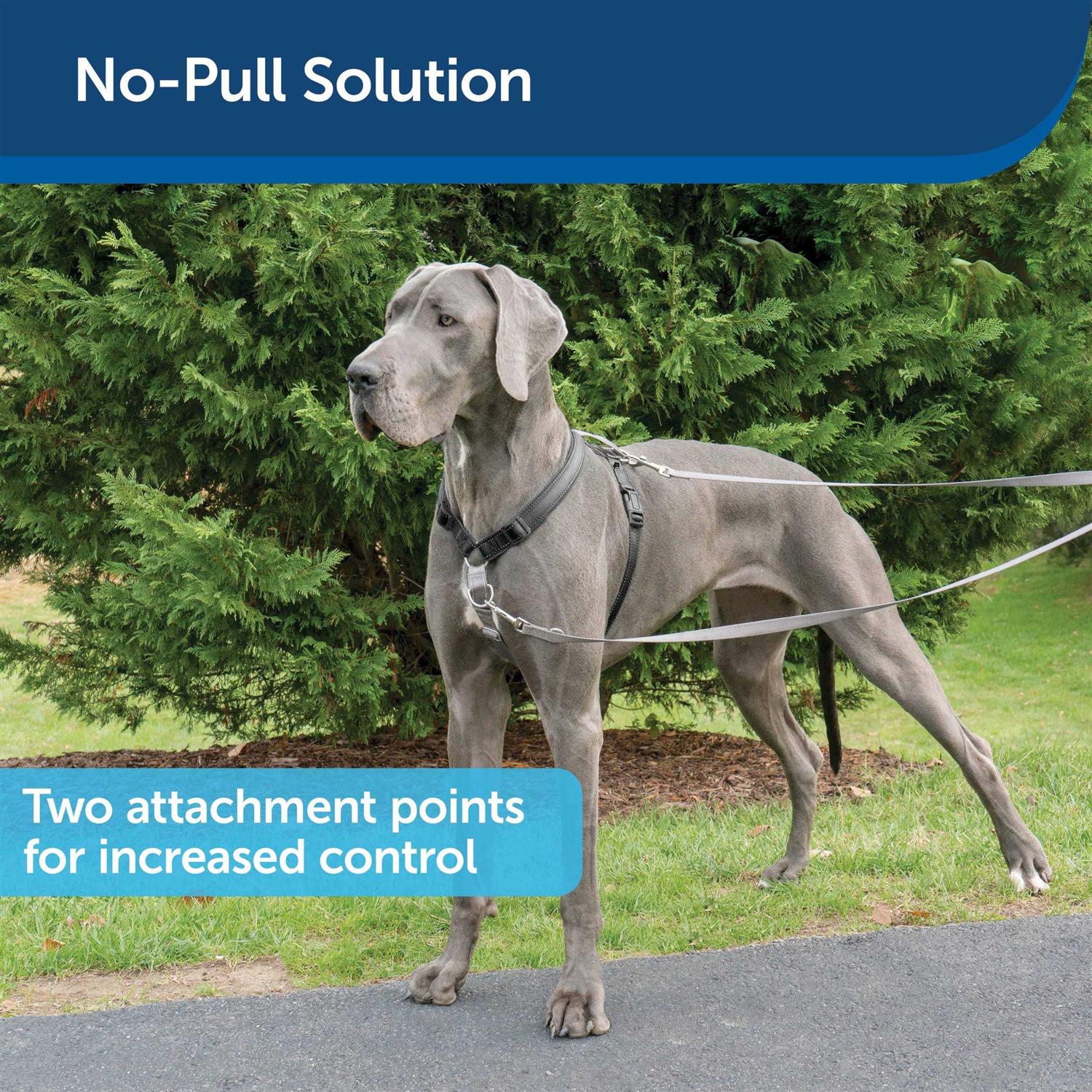 PetSafe 3 in 1 Harness with Two Point Control Leash - Image 4