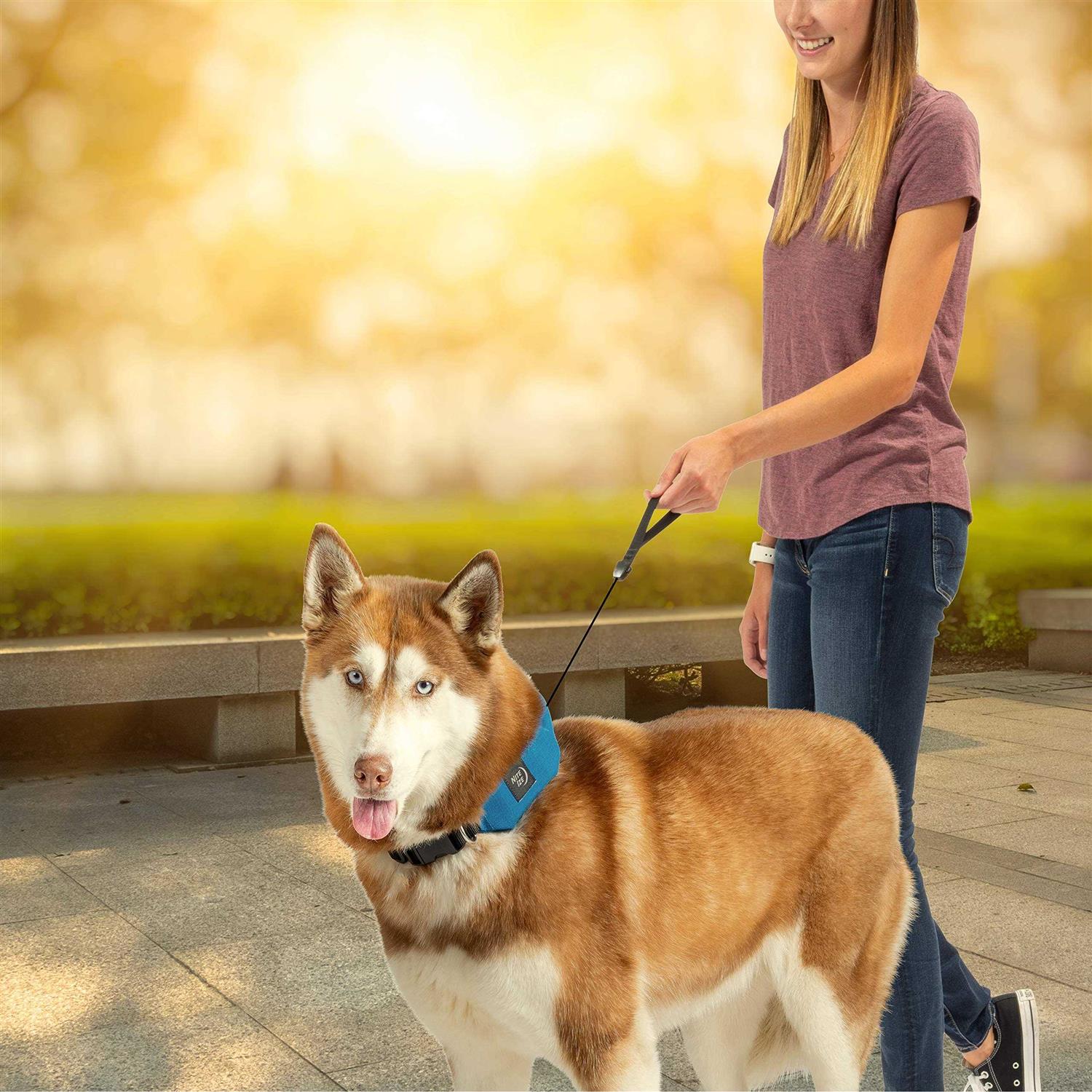 Nite Ize RadDog All-In-One Collar + Leash - Image 4