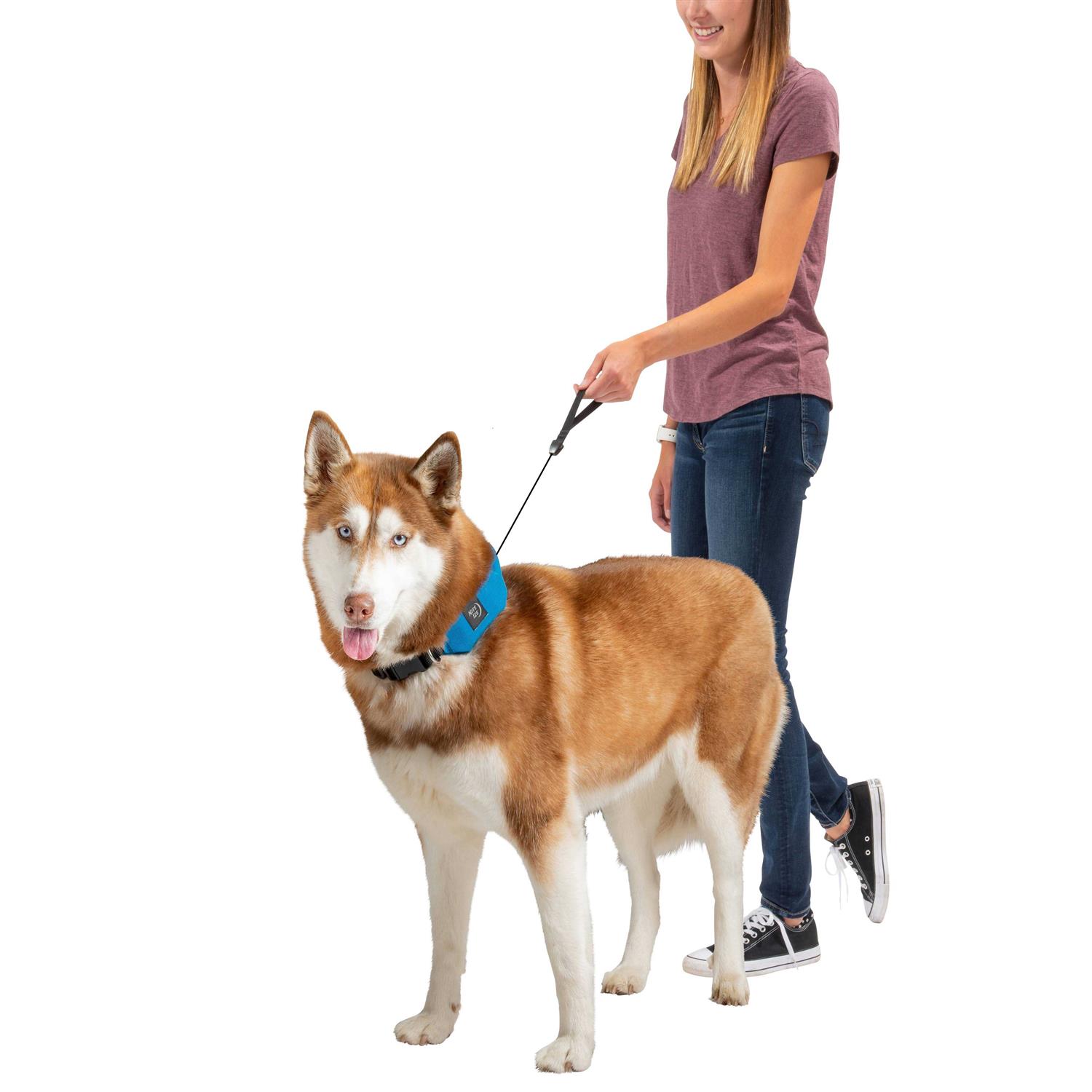 Nite Ize RadDog All-In-One Collar + Leash - Image 5