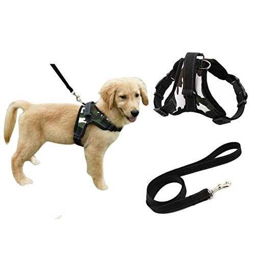 FakeFace Heavy Duty Adjustable Pet Puppy Dog Safety Harness with Leash Lead Set Reflective No-Pull Breathable Padded Dog Leash Collar Chest Harness Vest - Image 5