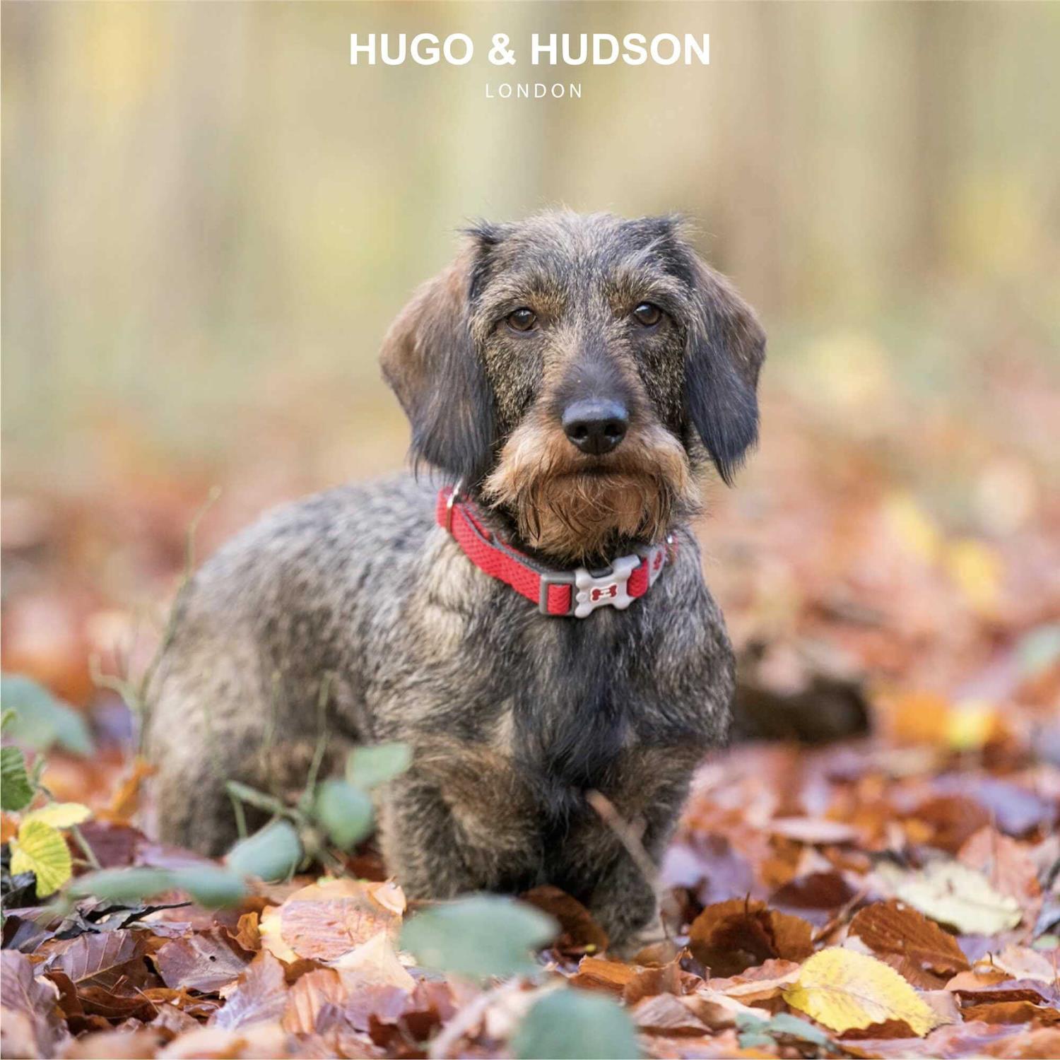Hugo & Hudson Mesh Dog Collar - Image 3