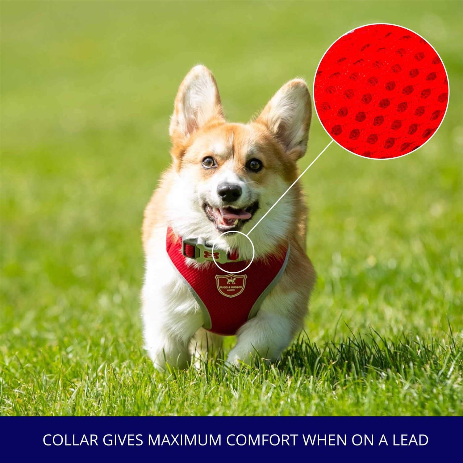 Hugo & Hudson Mesh Dog Collar - Image 4