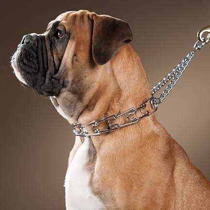 OmniPet Spiked Training Collar - Image 5