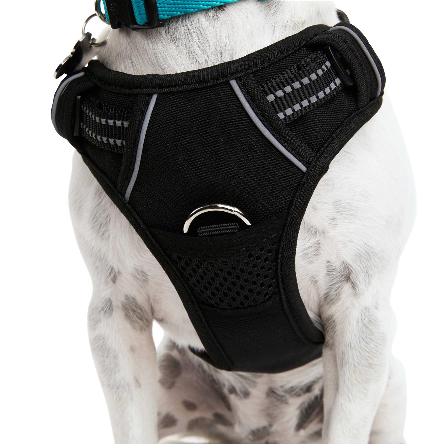 EveryYay Embrace the Pace Black Front Walking Dog Harness - Image 3