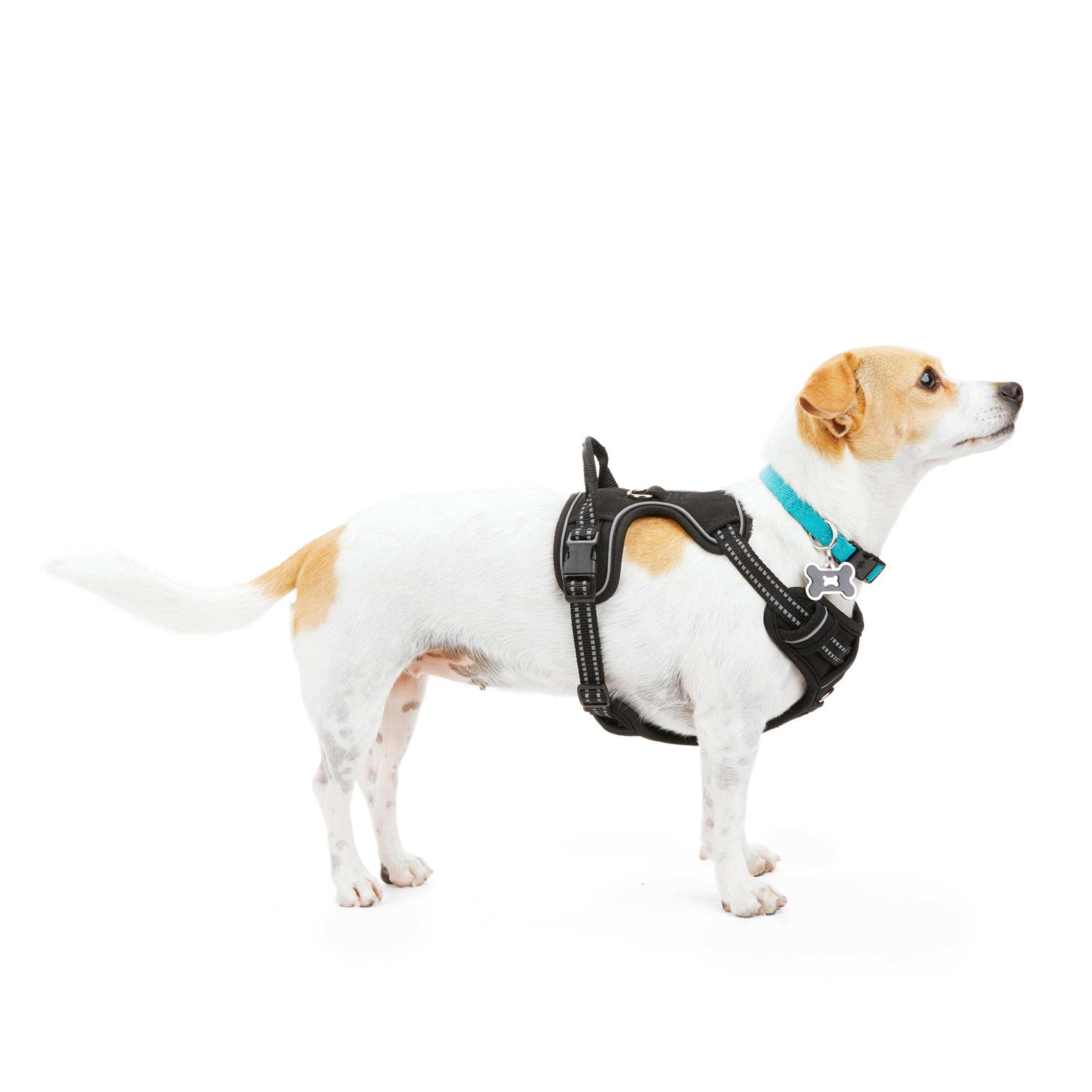 EveryYay Embrace the Pace Black Front Walking Dog Harness - Image 4
