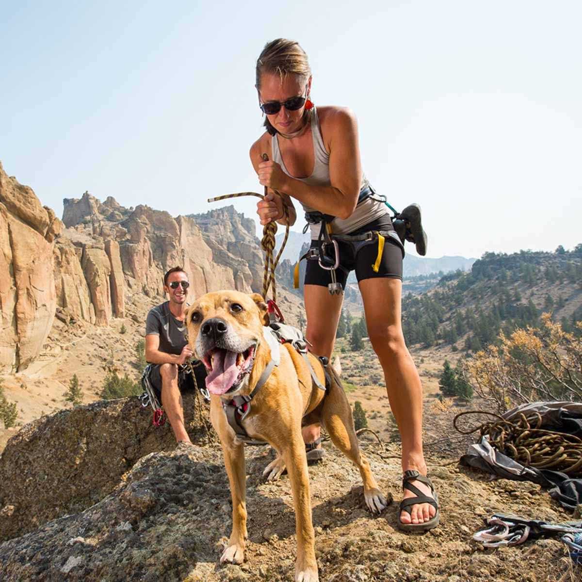 Ruffwear Doubleback Harness - Image 5