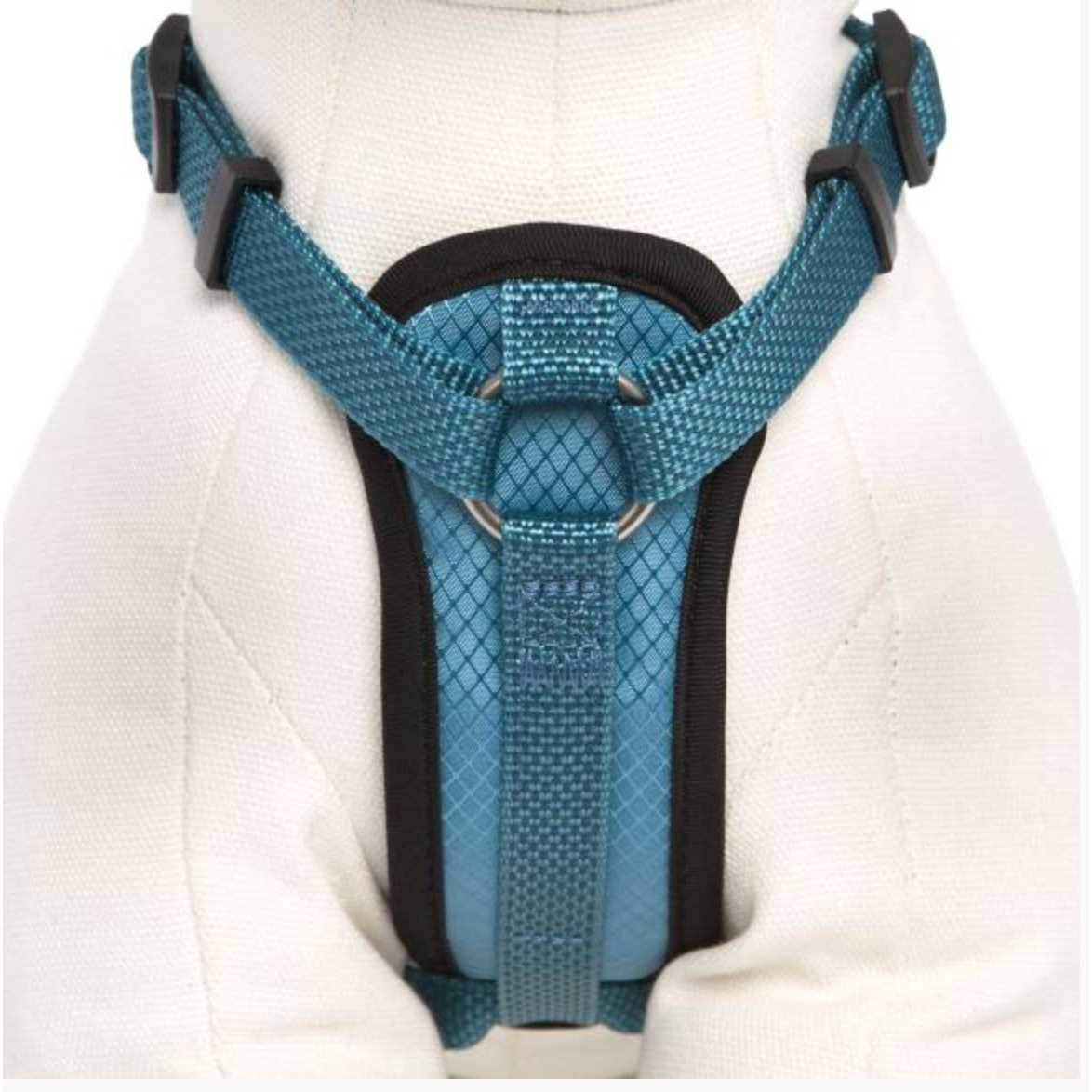 Kong Comfort Padded Chest Plate Dog Harness - Image 3