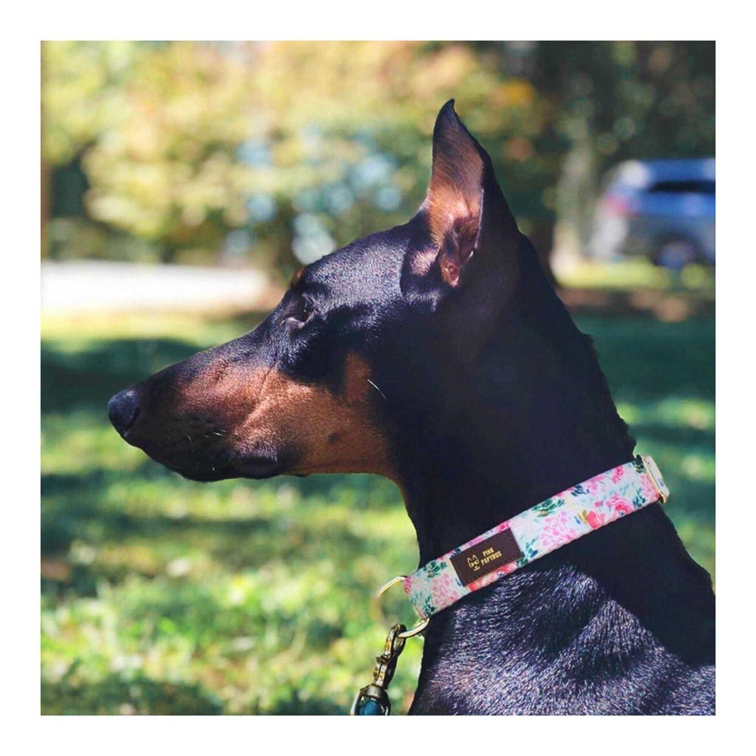 Pink Papyrus Isabella Collar - Image 5