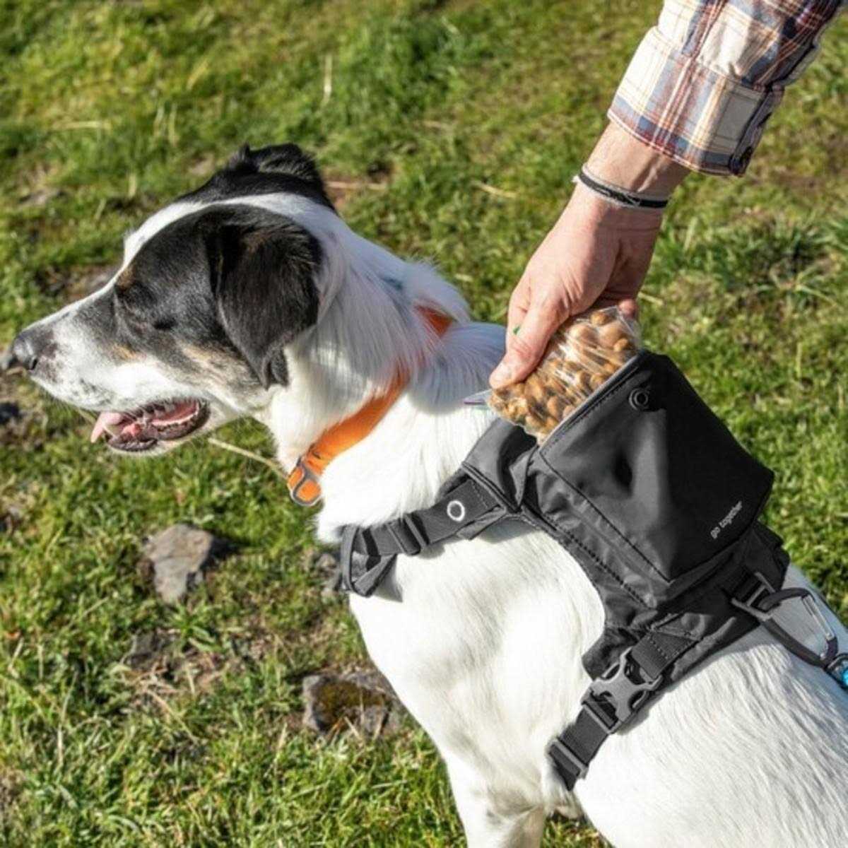 Kurgo Stash N' Dash Dog Harness - Image 5