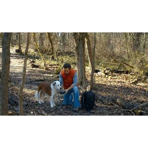 Kurgo Stash N' Dash Dog Harness - Image 5