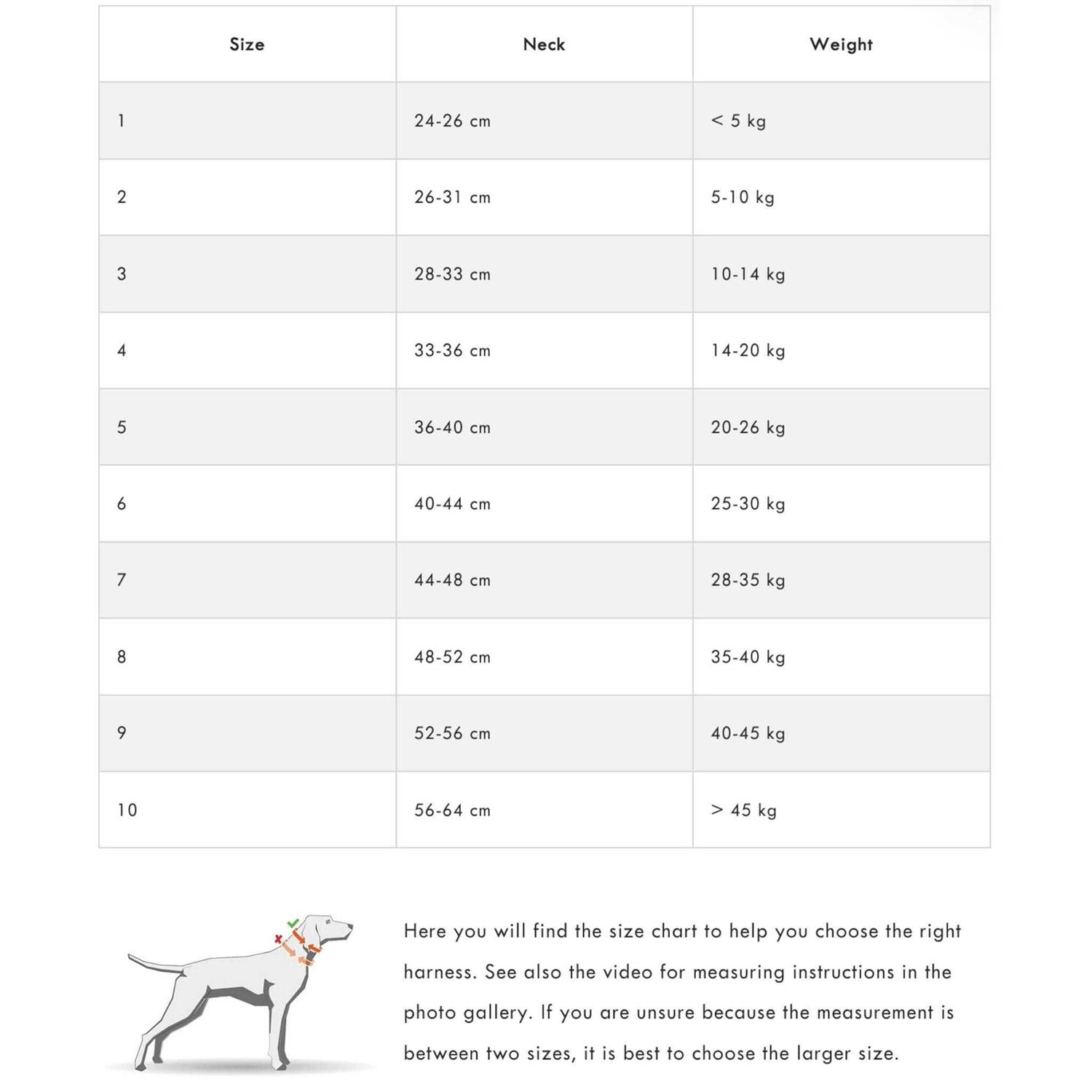 Non-Stop Dogwear Freemotion Harness / Size - Image 4