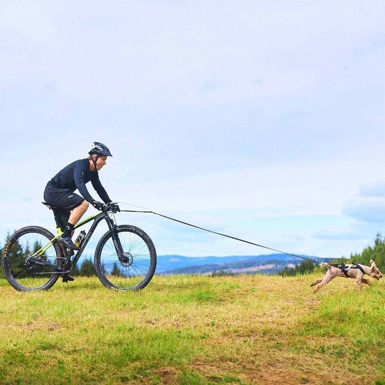 Non-Stop Dogwear Freemotion Harness / Size - Image 5