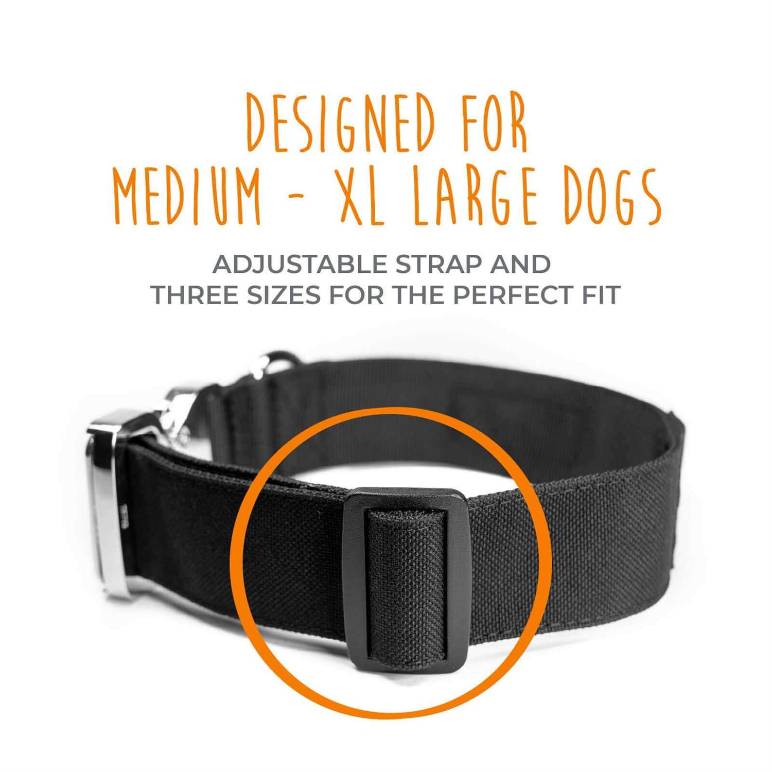 Mighty Paw Dog Collar Heavy Duty with Tactical Metal Buckle - Image 4