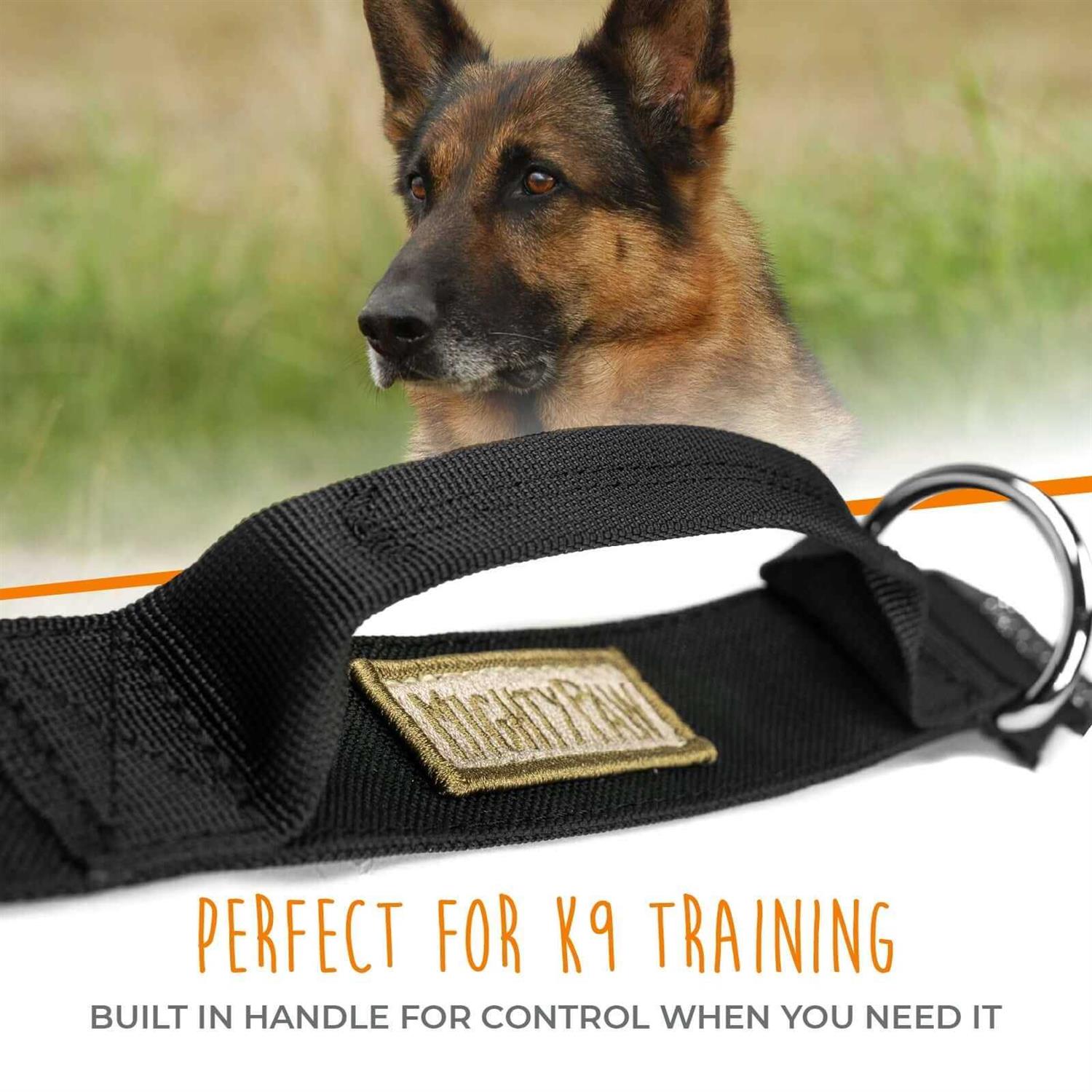 Mighty Paw Dog Collar Heavy Duty with Tactical Metal Buckle - Image 5