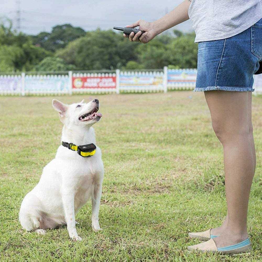Pet Union Pt0z1 Premium Dog Training Shock Collar for Dogs with Remote - Image 3