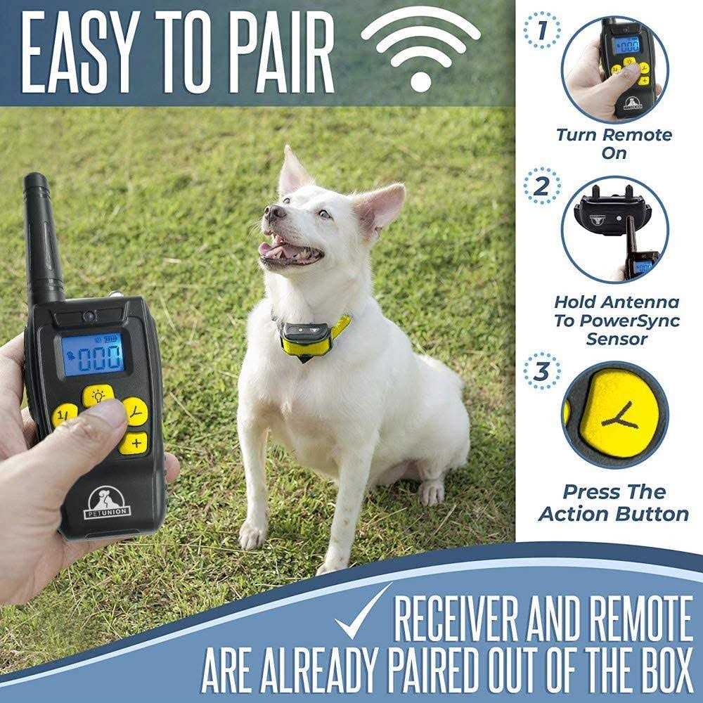 Pet Union Pt0z1 Premium Dog Training Shock Collar for Dogs with Remote - Image 5