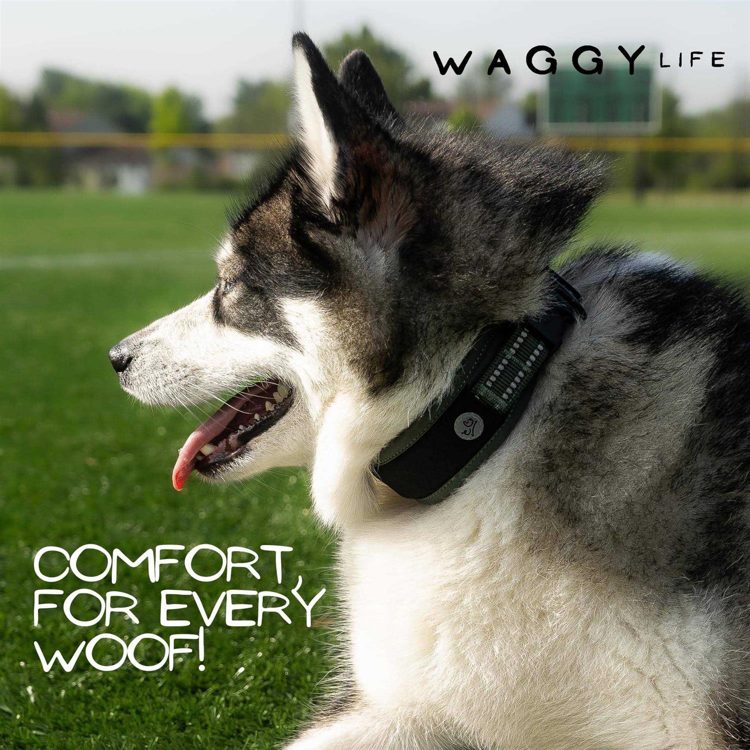 Premium Dog Collar Apple Airtag Holder – Adjustable Heavy Duty 3M Reflective No Chafing Ultra Soft Air Mesh Padded w/Quick Release Buckle Pet - Image 4