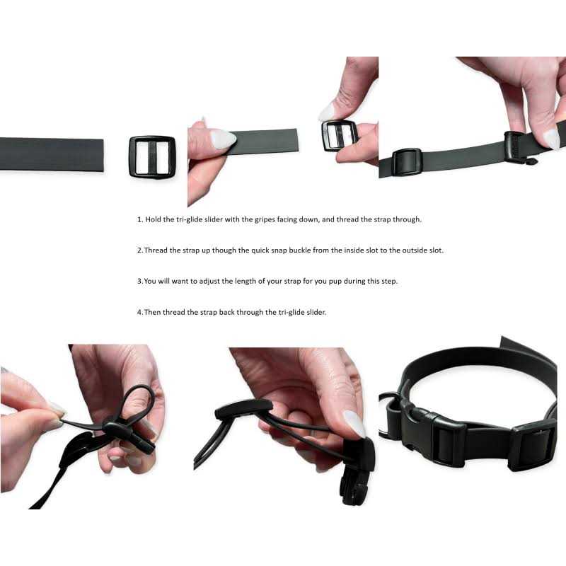 E-Collar Technologies 3/4 Width - Image 5