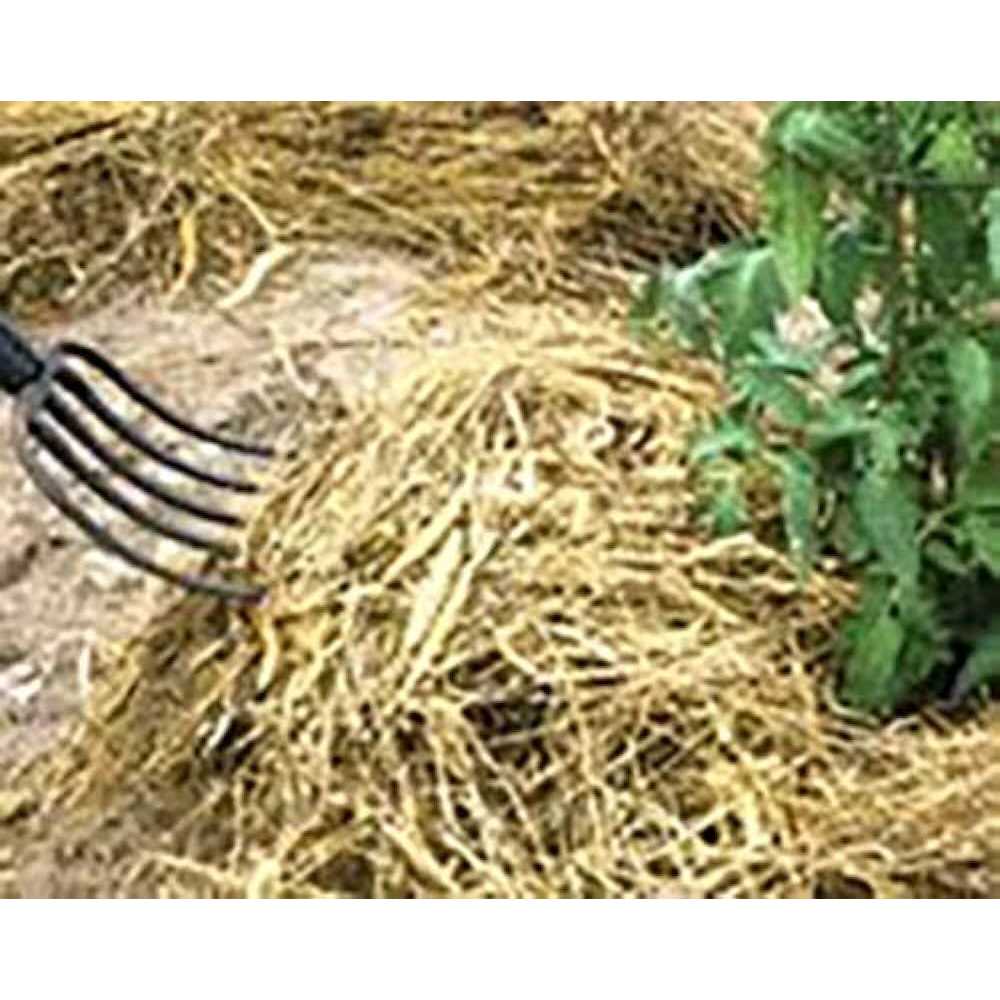 EZ Straw All-Purpose Straw Bale - Image 4