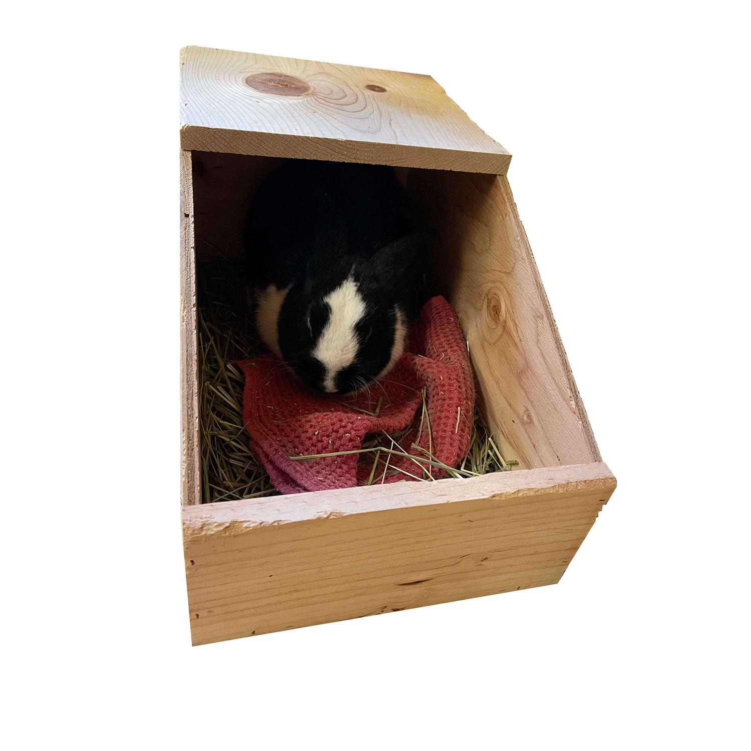 Harvest Lane Honey Rabbit Nesting Box - Image 5