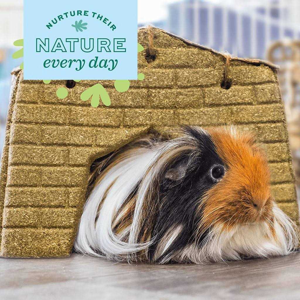 Oxbow Enriched Life - Image 5